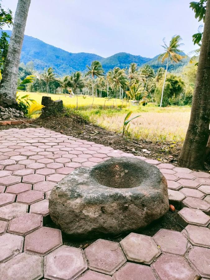 Rumah Gadang Simarasok Villa Baso Buitenkant foto