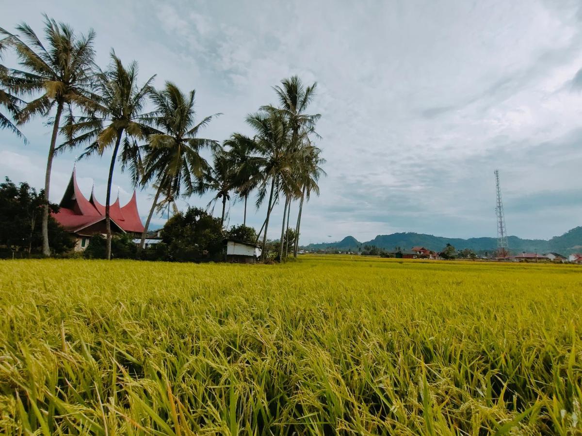 Rumah Gadang Simarasok Villa Baso Buitenkant foto